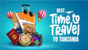 Best Time To Travel To Tanzania