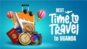 Best Time To Travel To Uganda